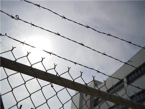 上海辦理刑事案件的律師講懷孕女執行拘役區別